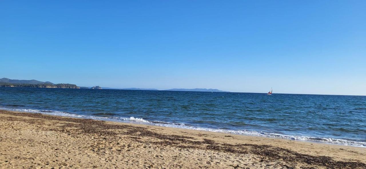Apartment Odalys Les Oceanides: Beachfront With Pool And Private Parking La Londe-les-Maures
